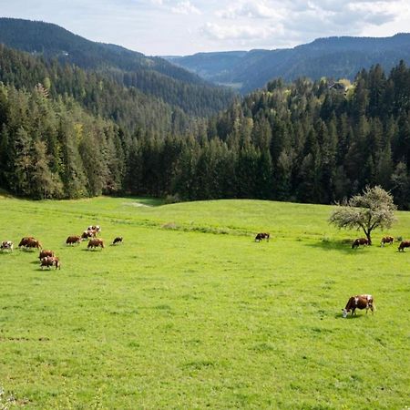 Lovely Apartment In The Black Forest Villingen-Schwenningen Luaran gambar