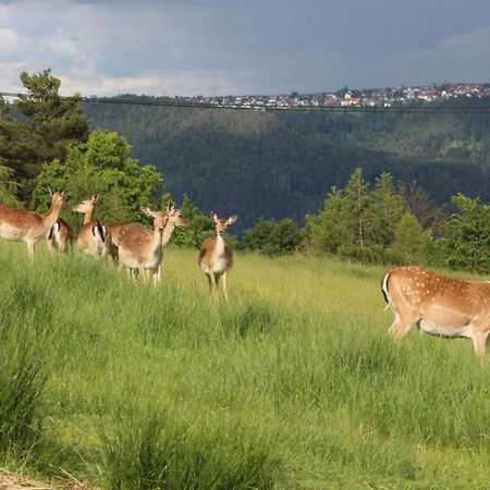 Lovely Apartment In The Black Forest Villingen-Schwenningen Luaran gambar