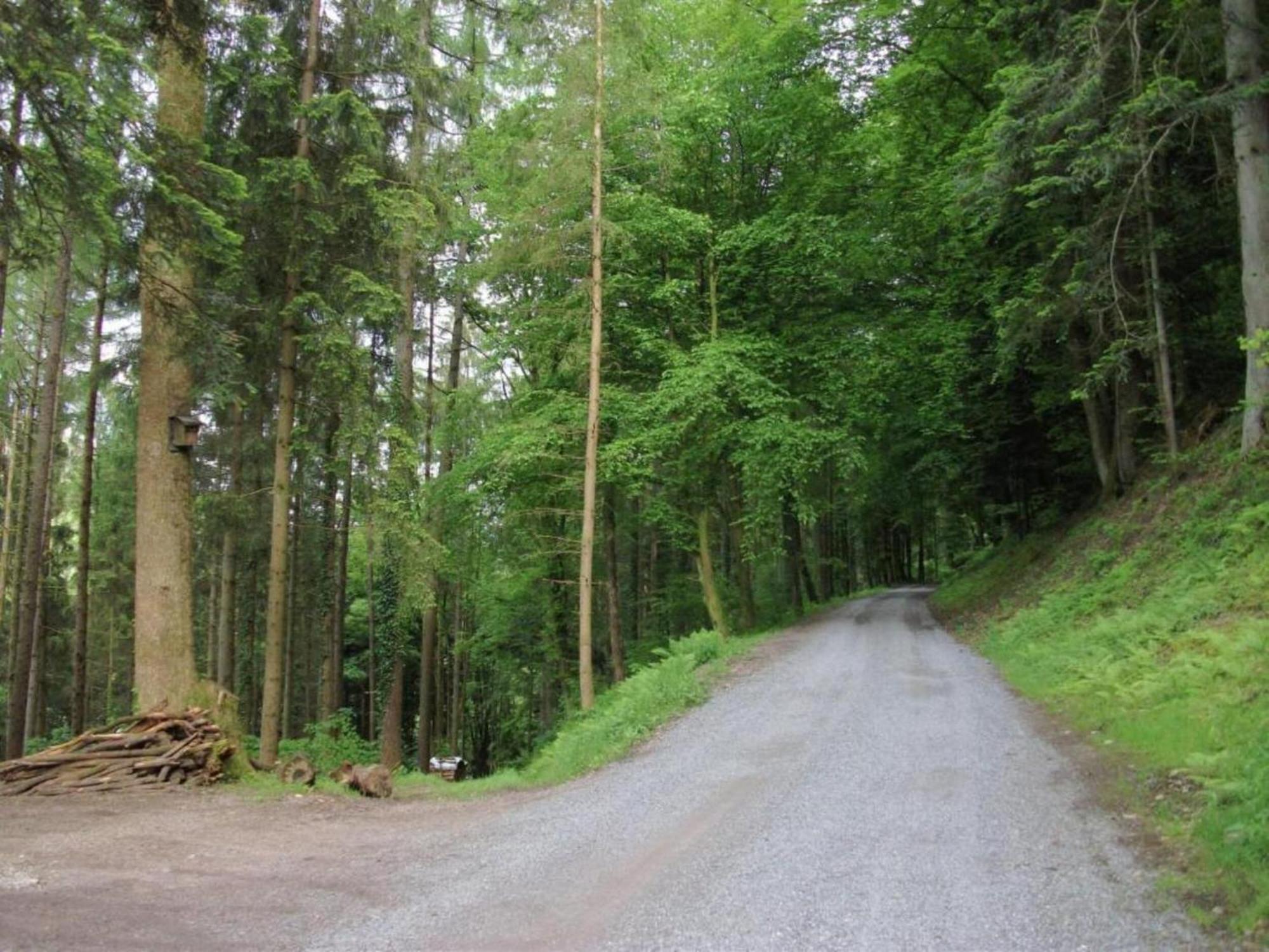 Lovely Apartment In The Black Forest Villingen-Schwenningen Luaran gambar