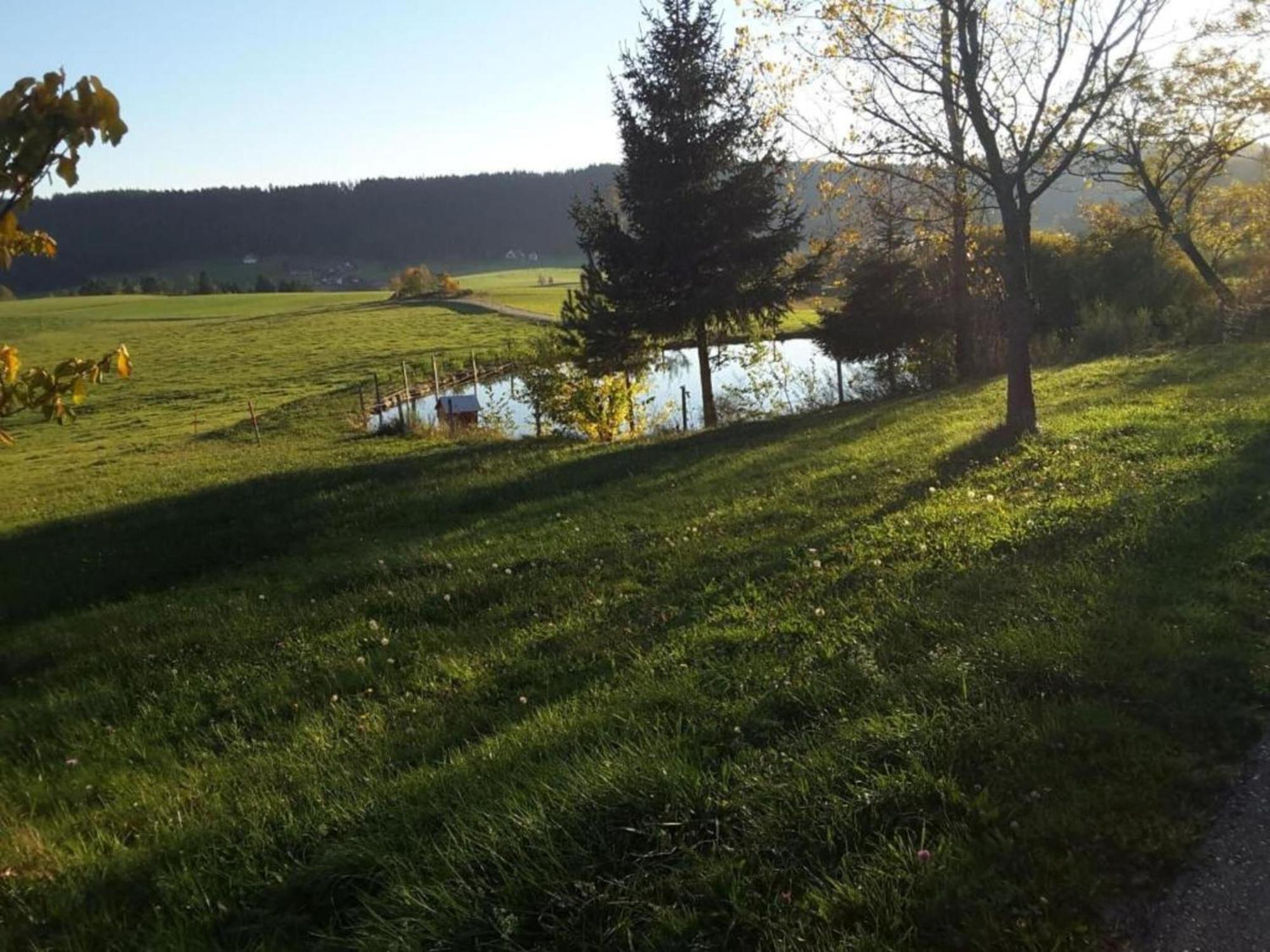 Lovely Apartment In The Black Forest Villingen-Schwenningen Luaran gambar