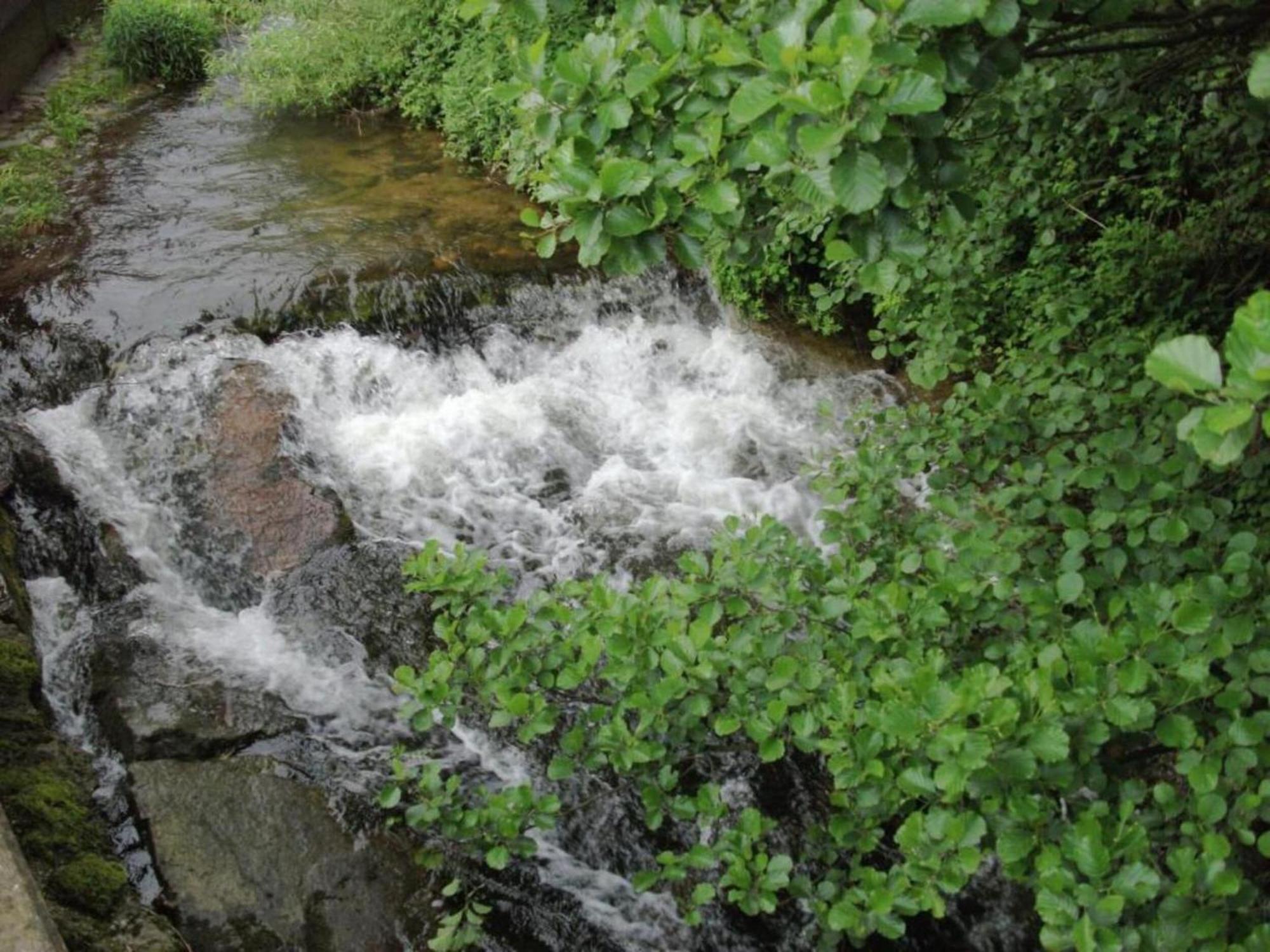 Lovely Apartment In The Black Forest Villingen-Schwenningen Luaran gambar