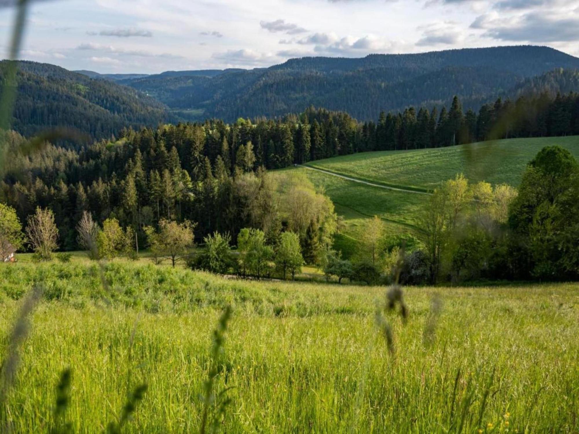 Lovely Apartment In The Black Forest Villingen-Schwenningen Luaran gambar