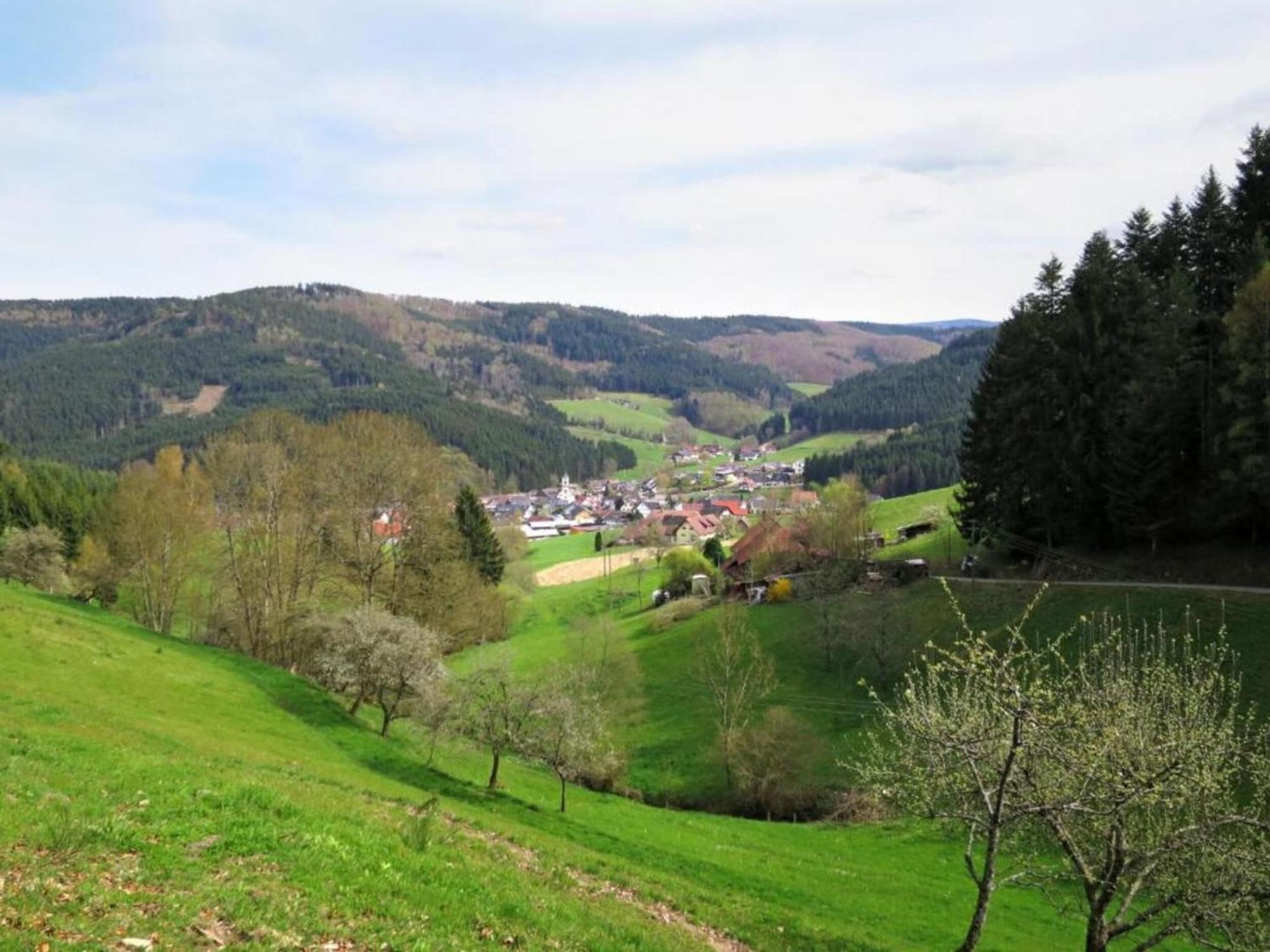 Lovely Apartment In The Black Forest Villingen-Schwenningen Luaran gambar