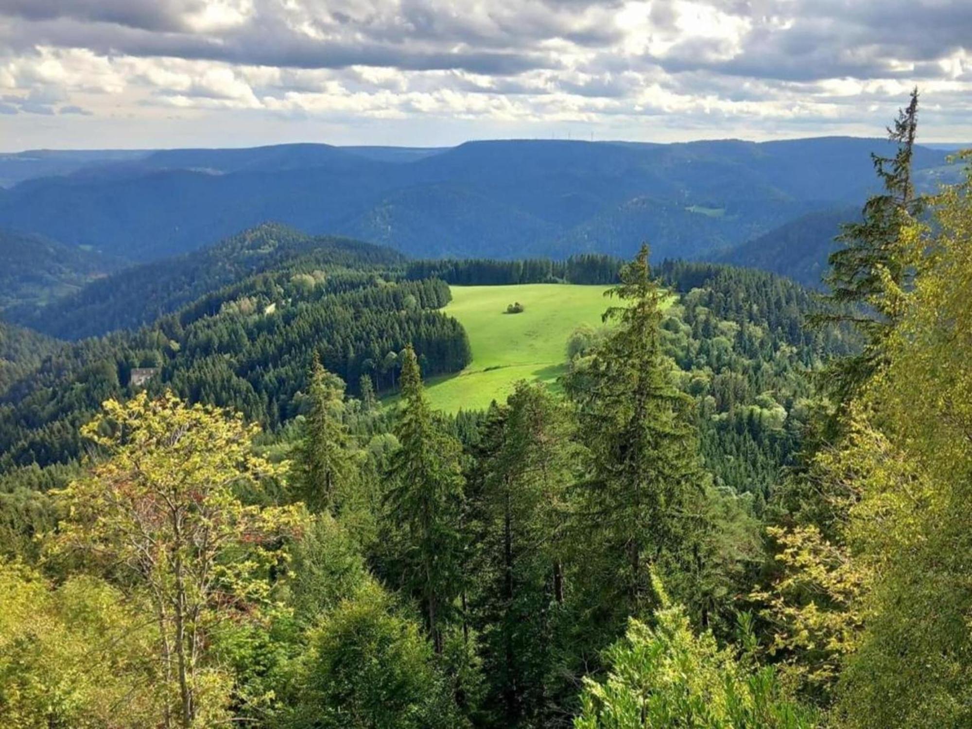 Lovely Apartment In The Black Forest Villingen-Schwenningen Luaran gambar